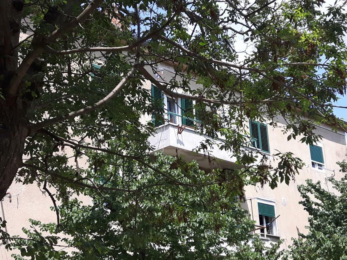 Apartment Sunny Place 扎达尔 外观 照片